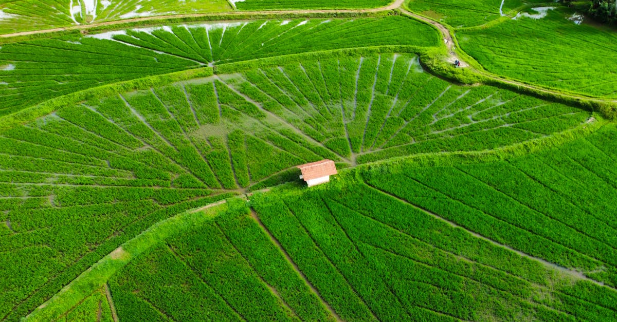 découvrez le channel manager, un outil essentiel pour optimiser la gestion de vos canaux de distribution. simplifiez votre gestion des réservations, augmentez votre visibilité et maximisez vos revenus en centralisant toutes vos plateformes de vente. idéal pour hôteliers et gestionnaires d'hébergements.