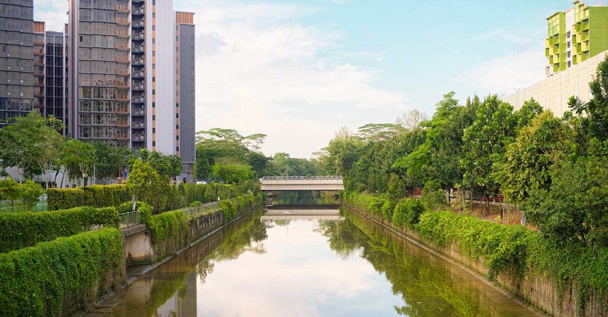 discover our apartment concierge service offering personalized support to simplify your daily life. enjoy professional assistance for your daily needs, from bookings to cleaning services, while ensuring a pleasant and worry-free living experience.