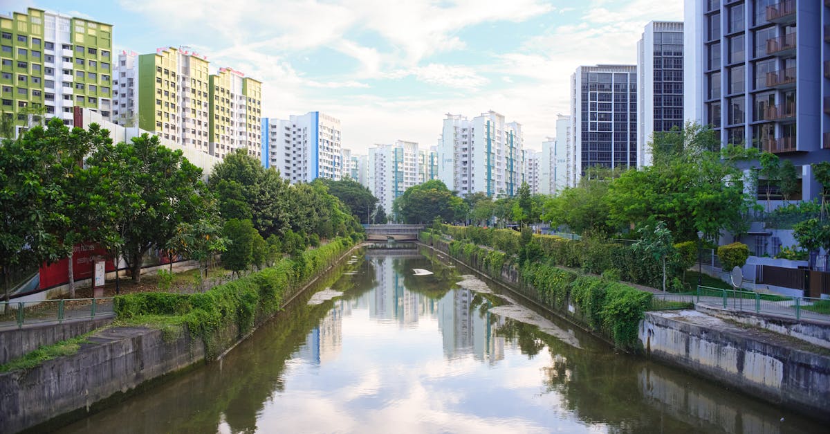 discover the apartment concierge service, an ideal solution to simplify your daily life. enjoy personalized assistance for managing your accommodation, planning events, and more. a bespoke service to make your life more enjoyable and save you time.