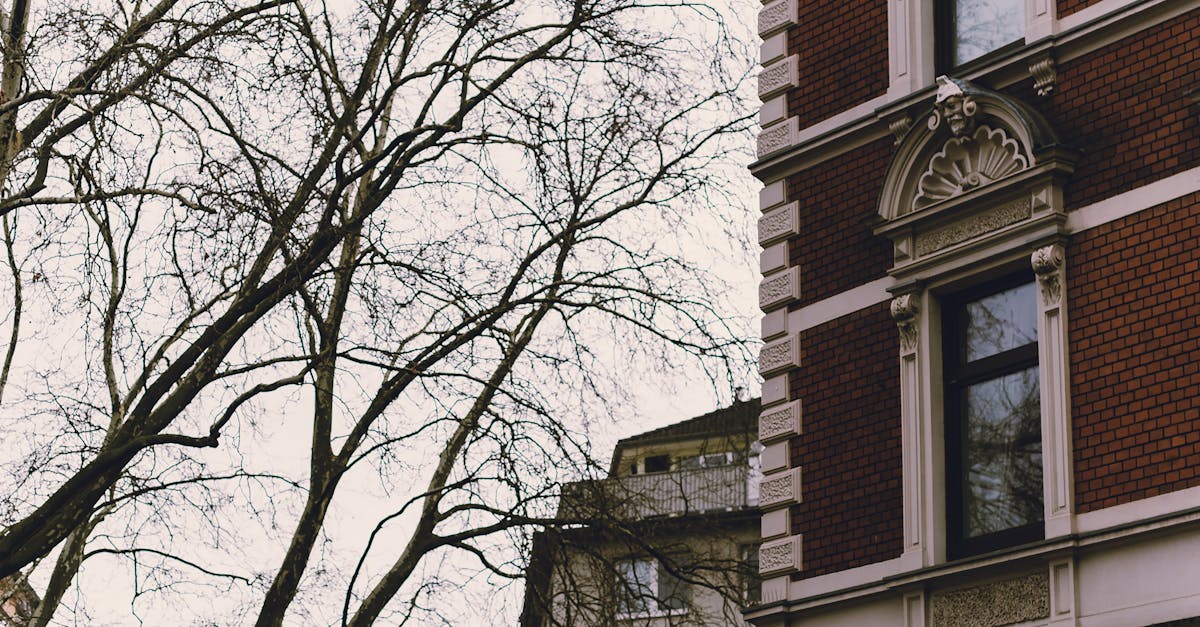 discover our apartment concierge service, which provides personalized assistance to simplify your daily life. Benefit from practical advice, reservations, and tailored support to live in comfort and luxury.