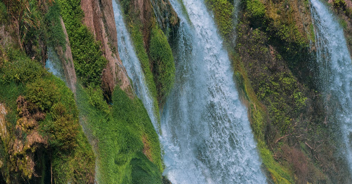 découvrez mountain concierge, votre service personnalisé pour des expériences inoubliables en montagne. profitez d'un accompagnement sur mesure, des conseils d'experts et une assistance 24/7 pour chaque besoin, que ce soit pour des activités outdoor, des réservations ou des conseils locaux. vivez la montagne autrement!