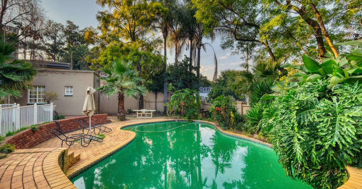 discover property concierge services, dedicated to facilitating the management of your real estate property. enjoy personalized support for maintenance, rental, and enhancement of your property, while delegating daily tasks to experts.