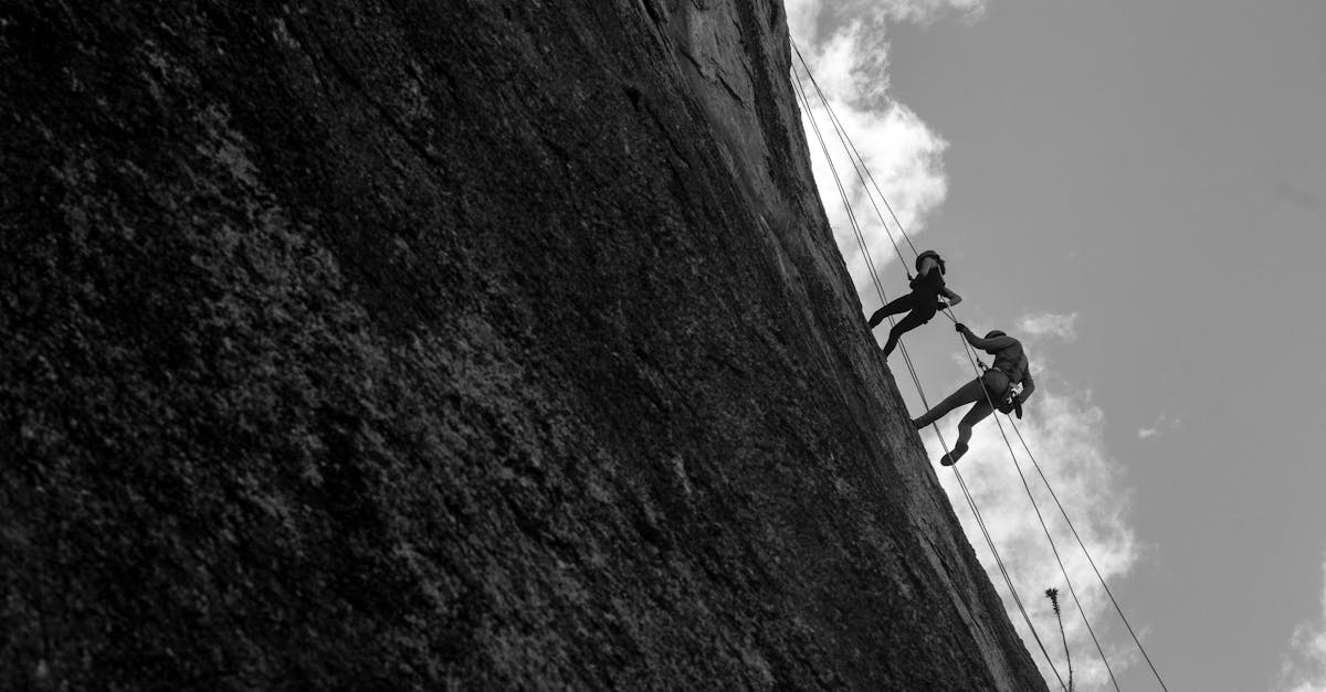 découvrez comment le scaling peut transformer votre entreprise en optimisant la croissance et l'efficacité. apprenez des stratégies éprouvées pour élargir votre portée et maximiser vos ressources sans compromettre la qualité.