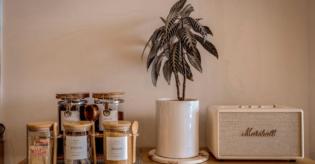 descubre alquileres únicos y auténticos con airbnb, tu plataforma de elección para estancias inolvidables en todo el mundo. Ya busques un apartamento acogedor, una villa de lujo o una habitación con un anfitrión, encuentra el alojamiento perfecto que se ajuste a tus necesidades y presupuesto.