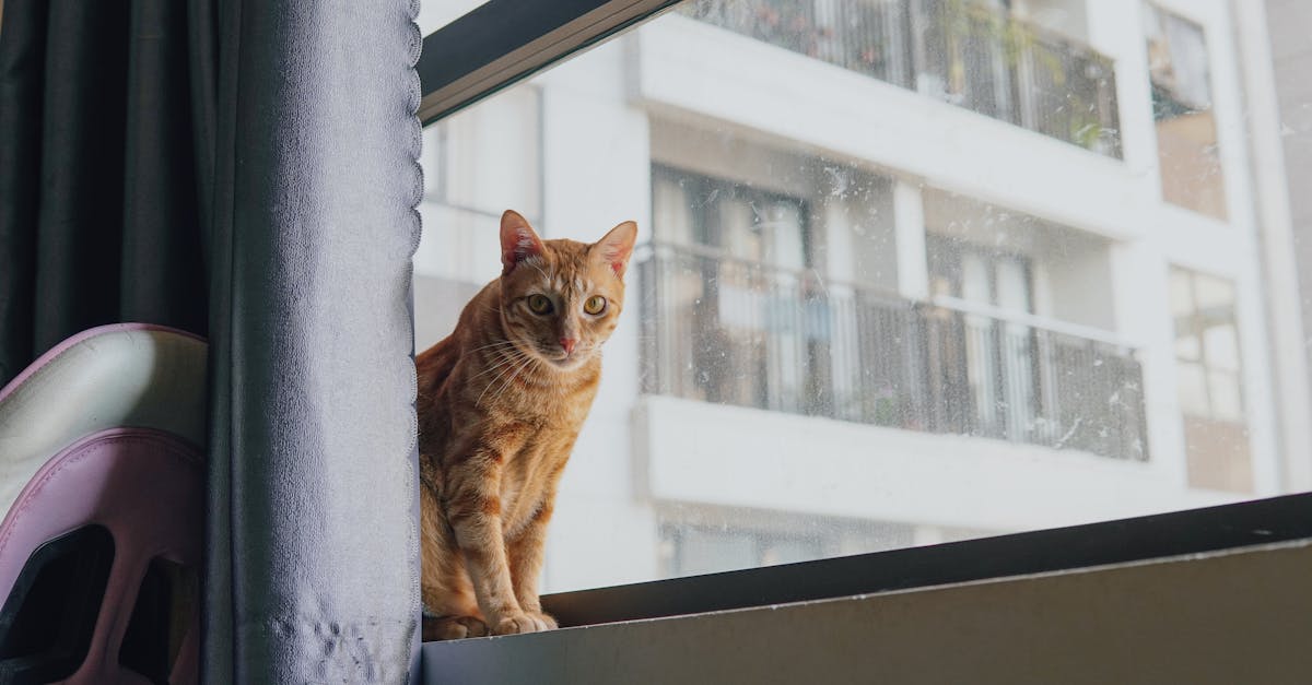 descubra nuestro servicio de conserjería de apartamentos, que ofrece acompañamiento personalizado para mejorar su experiencia de vida en la ciudad. aproveche nuestros servicios personalizados, desde la gestión de invitados hasta la organización de su agenda, para un día a día sin estrés.
