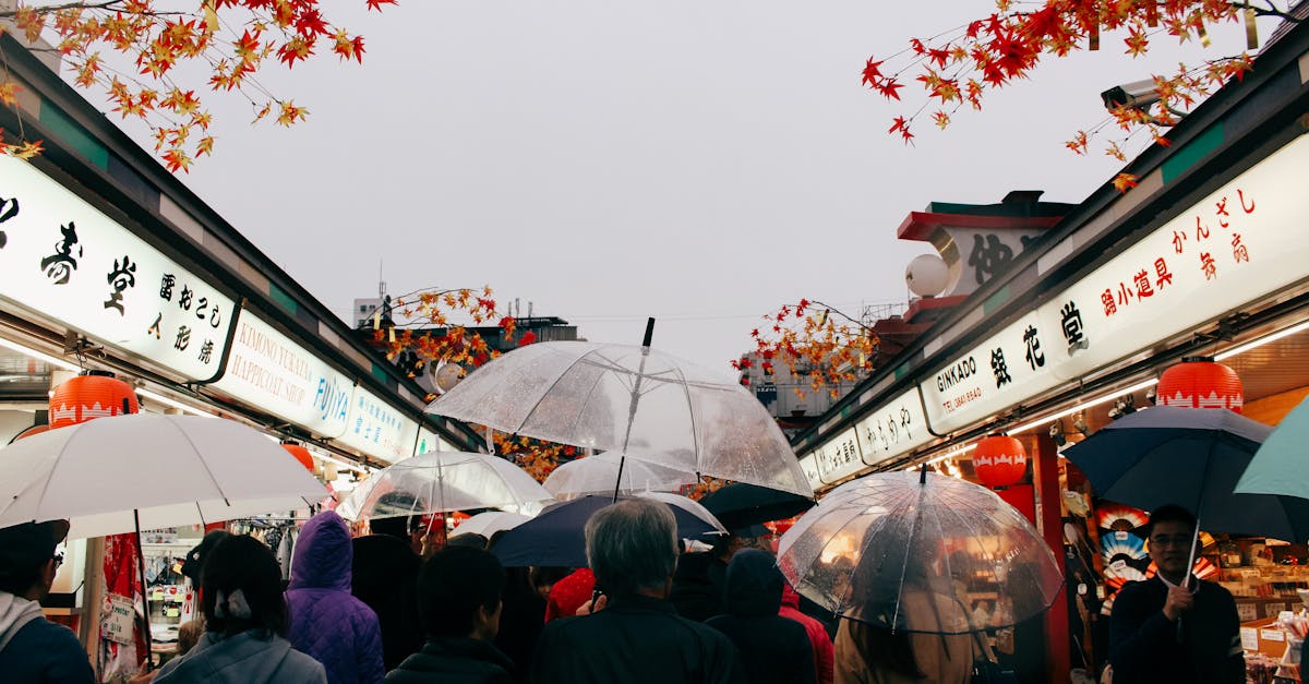 découvrez nos solutions adaptées aux voyageurs d'affaires : hébergements confortables, services personnalisés et conseils pratiques pour optimiser votre séjour professionnel. simplifiez vos déplacements et maximise votre productivité.